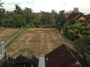 Pondok Mertha House Ubud Zewnętrze zdjęcie